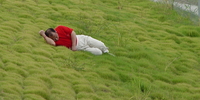 Shanghai Formula 1 GP - image-20042011-3